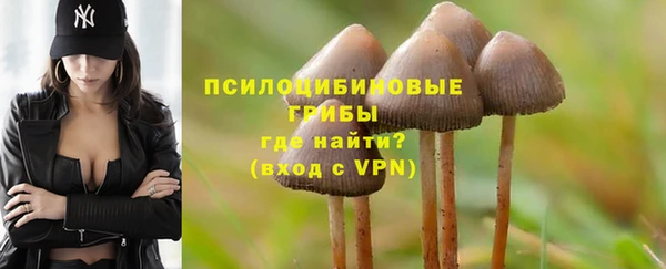 мет Бородино