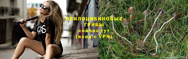 мет Бородино